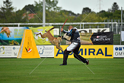 Vulcan vom Further Moor