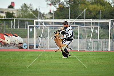 Vulcan vom Further Moor