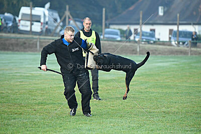 Wamba von der Bleichstrasse