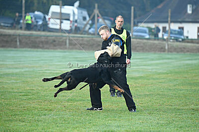 Wamba von der Bleichstrasse