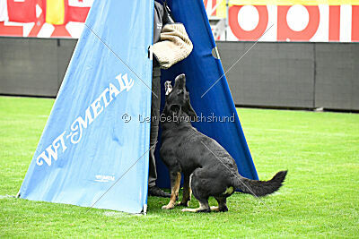 Wanda von Erdhainer Land