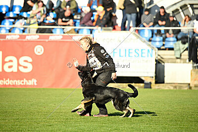 Wanda von Erdhainer Land