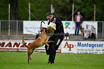 Waran vom Further Moor