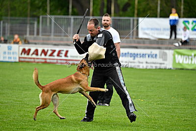 Waran vom Further Moor