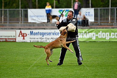 Waran vom Further Moor