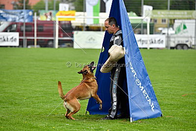 Waran vom Further Moor