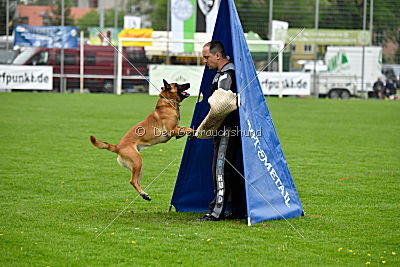 Waran vom Further Moor