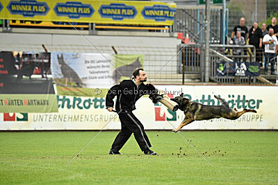 Webber vom Waisagrund