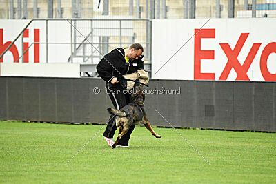 Webber vom Waisagrund