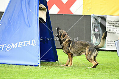 Webber vom Waisagrund