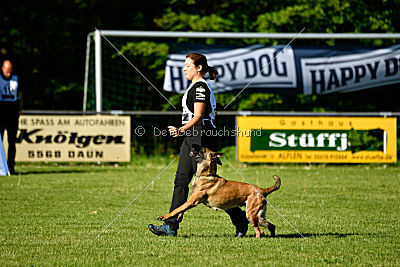 Wespe vom Further Moor