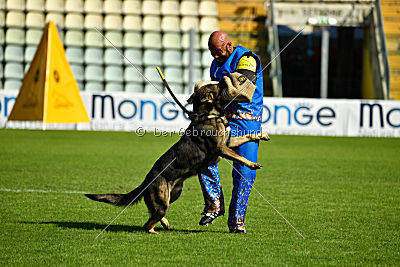 Westmac CymreigCorythus