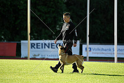 Westwind Why Not von der Steinteichmühle