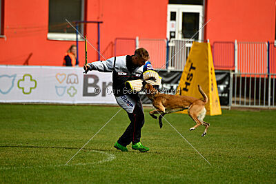 Whats Up von der Steinteichmühle