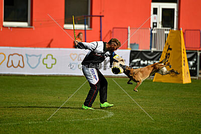 Whats Up von der Steinteichmühle