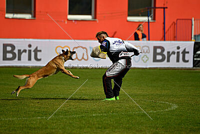 Whats Up von der Steinteichmühle