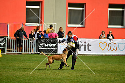Whats Up von der Steinteichmühle