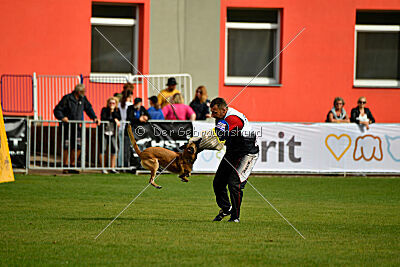 Whats Up von der Steinteichmühle