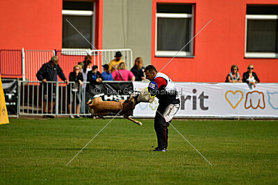 Whats Up von der Steinteichmühle