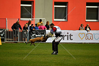 Whats Up von der Steinteichmühle