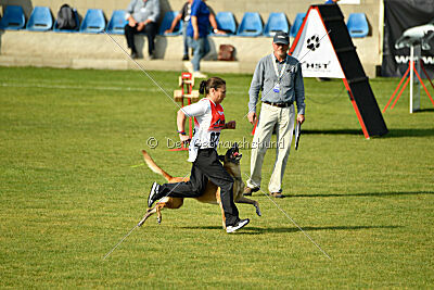 Whats Up von der Steinteichmühle