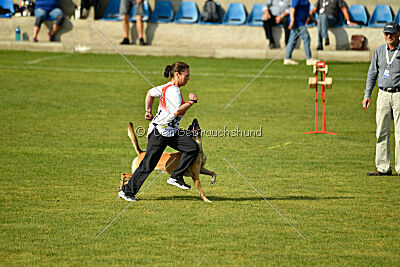 Whats Up von der Steinteichmühle