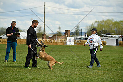 Whats Up von der Steinteichmühle