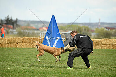 Whats Up von der Steinteichmühle