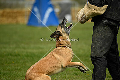 Whats Up von der Steinteichmühle