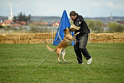 Whats Up von der Steinteichmühle