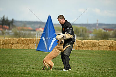 Whats Up von der Steinteichmühle