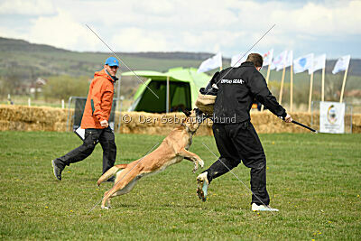 Whats Up von der Steinteichmühle