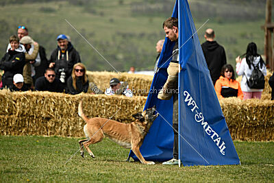 Whats Up von der Steinteichmühle