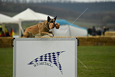 Whats Up von der Steinteichmühle