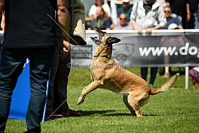 Whats Up von der Steinteichmühle