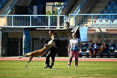 Whats Up von der Steinteichmühle