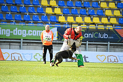 Wicky van Hamersslag