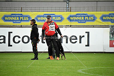 Wilcken Aron