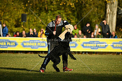 Willa Surprise von Blackmoore