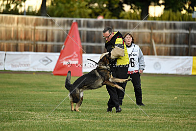 Willow vom Salztalblick