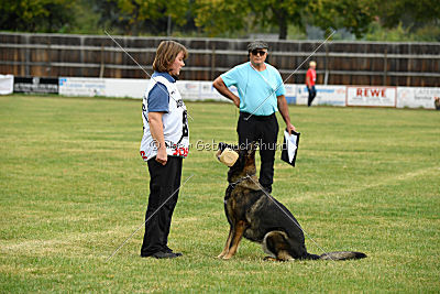 Willow vom Salztalblick