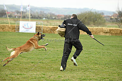 Win vom Further Moor