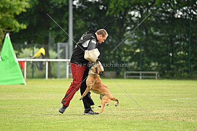 Wisa vom Further Moor