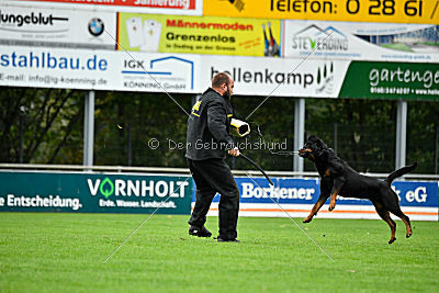 Witiko von Hohenbeilstein