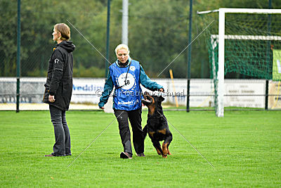 Witiko von Hohenbeilstein