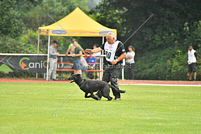 Wonder von der Sigisliebe