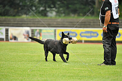 Wonder von der Sigisliebe