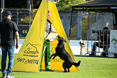 Wonder von der Sigisliebe