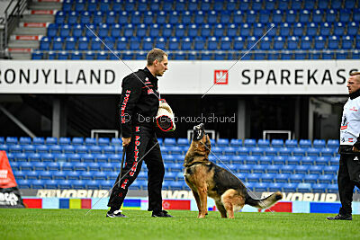 Woodstock vom Haus Pixner