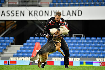 Woodstock vom Haus Pixner